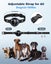Anti Barking Dog Training Collar NZ Clearance Carousel 3