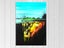 Pop Art - Crocodile - Colourful - Animal - Art Prints Carousel 1