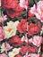 Fate + Becker lyrical midi dress sz10 Carousel 10