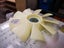 Fan Blade for CAT Doosan Hitachi Kato Komatsu Hyundai Sumitomo Kobelco Yanmar Carousel 13