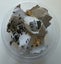 Feeder Crickets – Live – Multiple Sizes Available – Wellington Carousel 9
