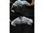 Gothic Print Muscle Tee For Men's Bodybuilding Training Carousel 5