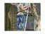 Telescopic ladder NZ Clearance Carousel 13