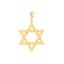 14k Yellow Real Gold Star of David Woven Pendant Carousel 1