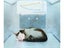 Cat Bed (OVER STOCKED) Carousel 14