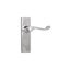 Tradco Victorian Lever Door Handle on Long Backplate Chrome Plated Carousel 1