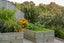 gallery view thumbnail