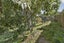 gallery view thumbnail