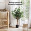 Lambu 90cm Artificial Ficus Tree Tropical Fake Plants Green Natural Wood Trunk Carousel 4