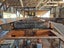 Full working sawmill plant for removal Carousel 7