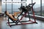 Fortis Leg Press and Hack Squat Machine Carousel 6