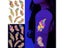 Fluorescent Sticker Luminous Temporary Tattoos Stickers UV Glow Fluorescent Carousel 4