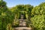 gallery view thumbnail