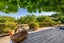 gallery view thumbnail