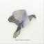 Kereru Bird Wall Set Carousel 2