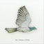Kereru Bird Wall Set Carousel 3