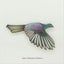 Kereru Bird Wall Set Carousel 4