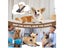 Dog Stairs,Pet Ramp,Dog Ramp Carousel 6