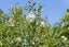 gallery view thumbnail
