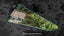 gallery view thumbnail