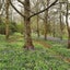 gallery view thumbnail