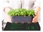 Seedling Heat Mat 50 x 52cm Heating Pad (OVER STOCKED) Carousel 10