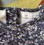Loading Image 6 of 6