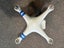 DJI Phantom 2 drone Carousel 1