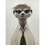 Bad Hair Day - Meerkat Canvas Carousel 1