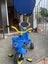 Kids push trike- bike Carousel 1