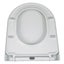 Replacement Toilet Seat D-SHAPE with Screws Soft Close, Quick Release Carousel 2
