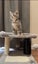 4 beautiful kittens looking for new home Carousel 1
