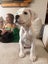 Polly - Chance 4 Change Carousel 3
