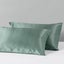 Beautysilks Silk 2 Pack Pillowcases Hypoallergenic Soft Smooth Hair and Skin Carousel 17