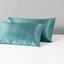 Beautysilks Silk 2 Pack Pillowcases Hypoallergenic Soft Smooth Hair and Skin Carousel 18