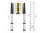 Telescopic ladder (OVER STOCKED) Carousel 1