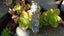 Crystal Business for Sale – Bulk Stock & Ready-to- Carousel 11