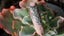 Crystal Business for Sale – Bulk Stock & Ready-to- Carousel 12