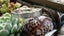 Crystal Business for Sale – Bulk Stock & Ready-to- Carousel 14