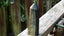 Crystal Business for Sale – Bulk Stock & Ready-to- Carousel 15