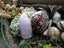 Crystal Business for Sale – Bulk Stock & Ready-to- Carousel 3