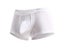 Mens Scrotal Support Underwear With Spermatic Separation Carousel 4