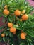 Loading Image 3 of 3