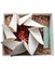 Baby Shower Gift - Rauwhenua Placenta Kit Carousel 3