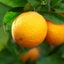 Loading Image 1 of 2