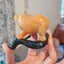 An orange Jasper jade bear on dark green jade branch Carousel 3