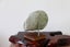 New Zealand greenstone small touchstone pounamu carving stone unique gift Carousel 5
