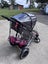 Phil&Teds dash pram Carousel 4