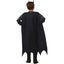 Batman Boys Deluxe Costume Carousel 3