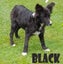 Loading Image 1 of 20